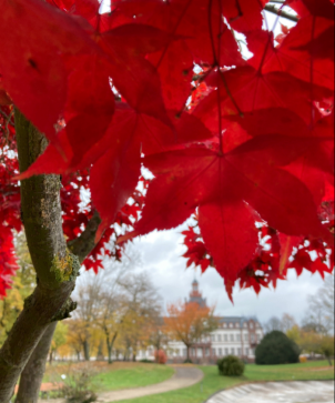 Herbstspaziergang Philippsruhe Städtische Museen Hanau